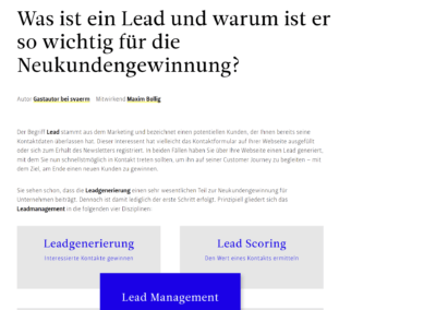 Svaerm Agentur