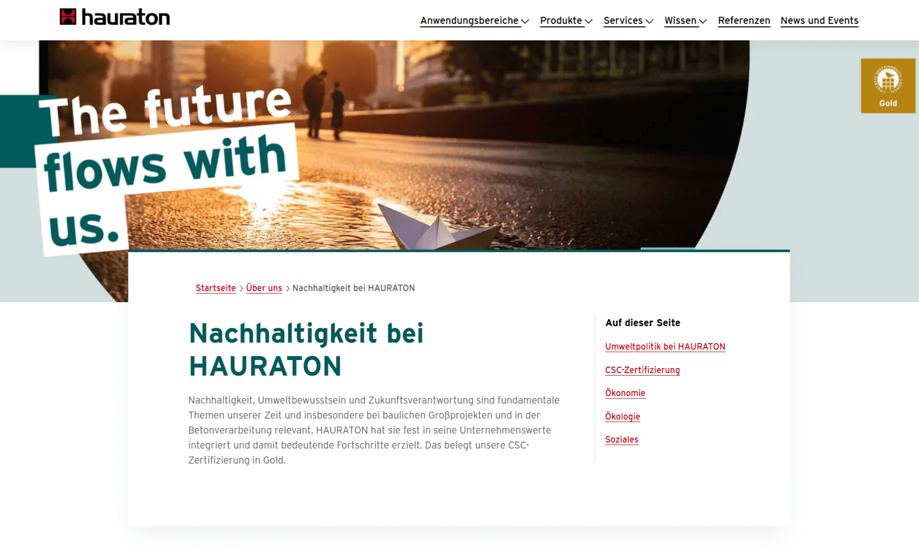 Screenshot-Hauraton-webseite